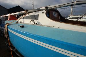 Harlequin 21